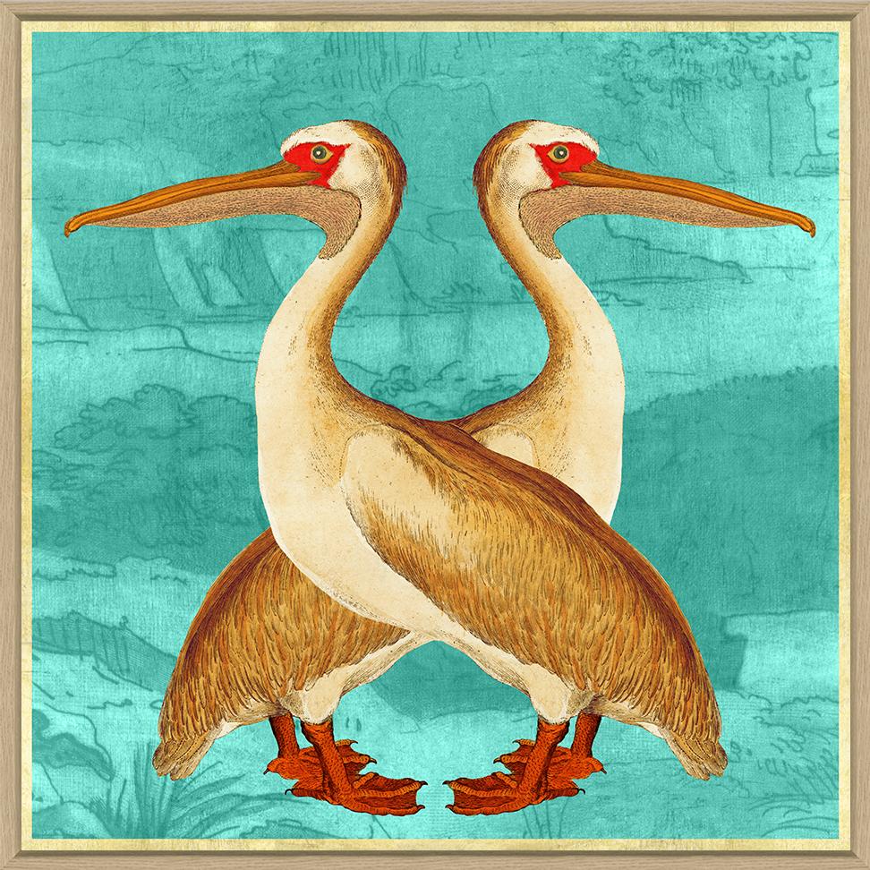 Pelican Party