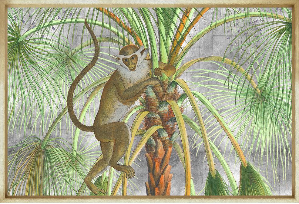 Patas Monkey on Silver