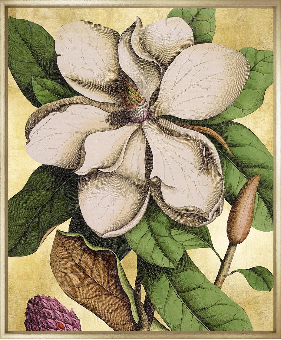 Magnolia Folio