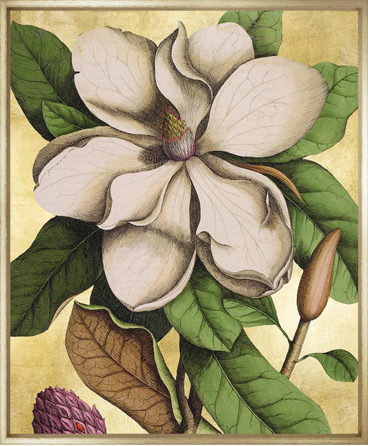 Magnolia Folio