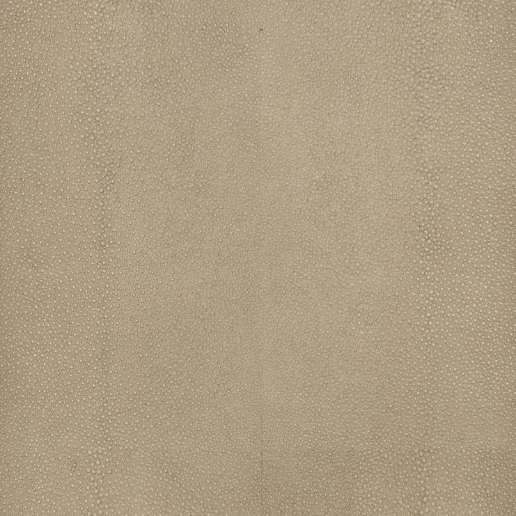 Alexi Credenza