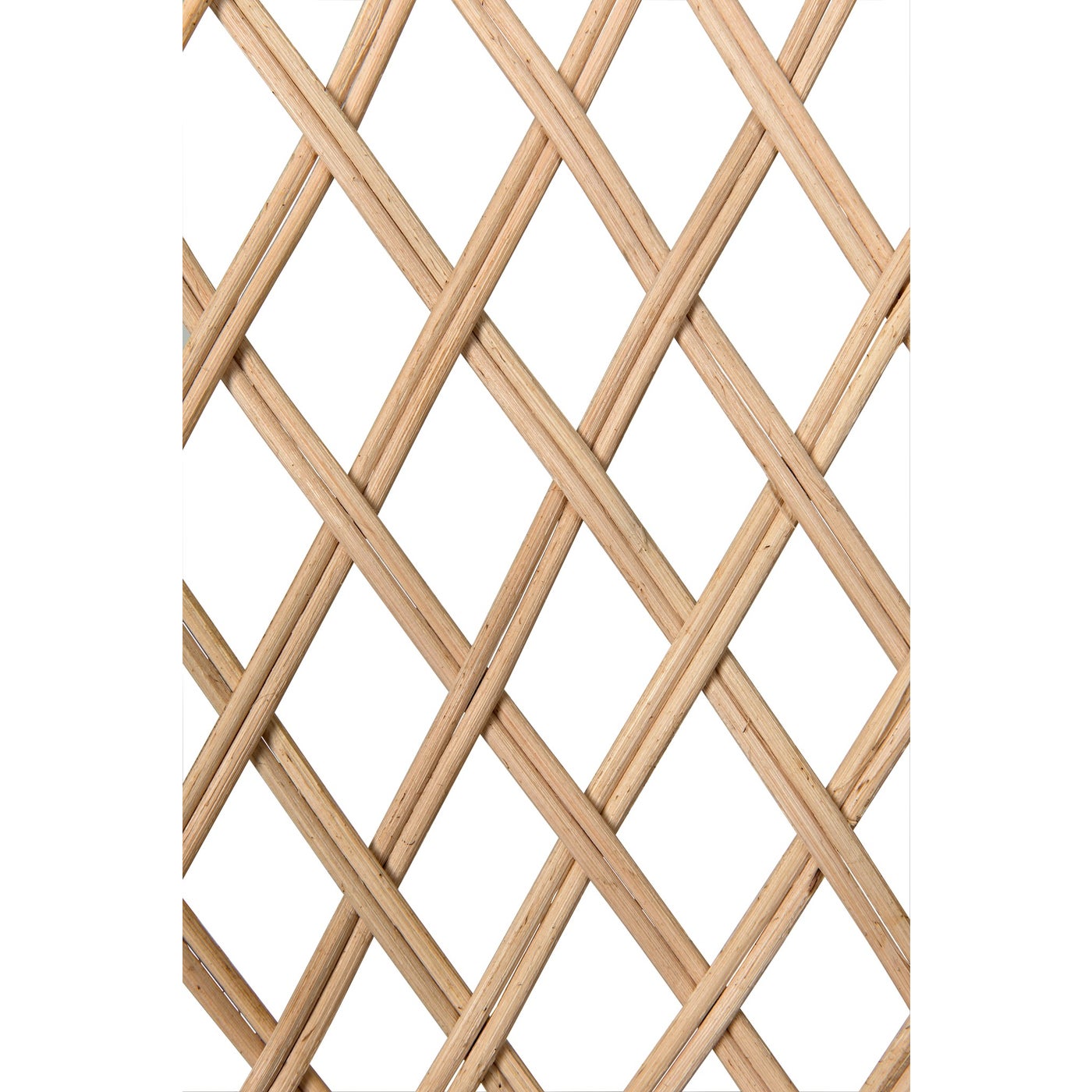 Gigi Chair